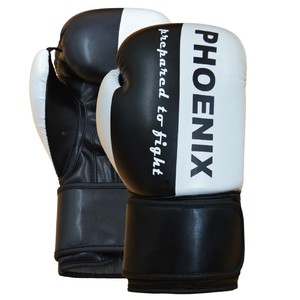 PX Boxhandschuh 