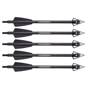 PD-5+Einsatzpfeile+7%2C5x220+-+AR-Series